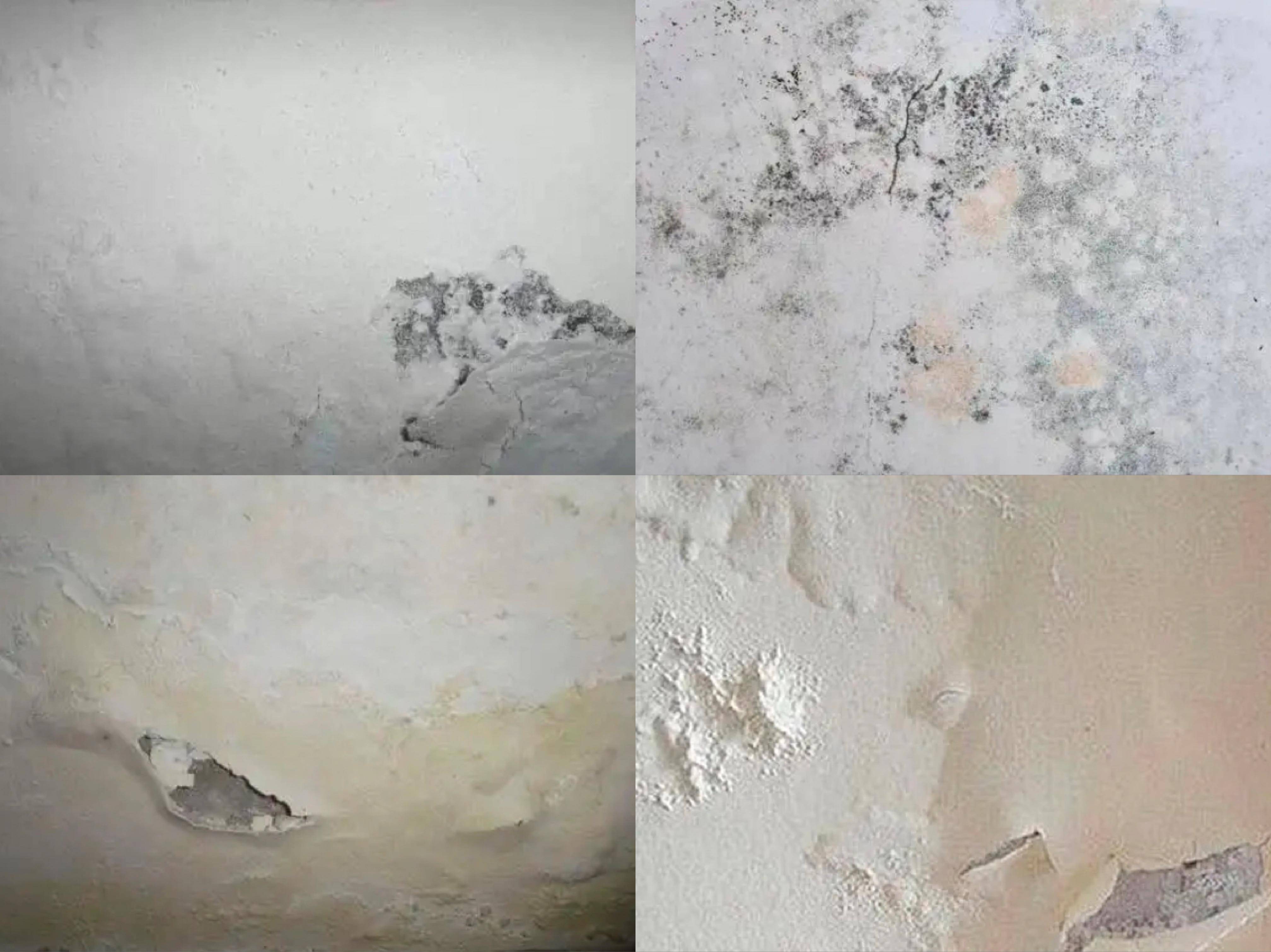 图1.jpeg