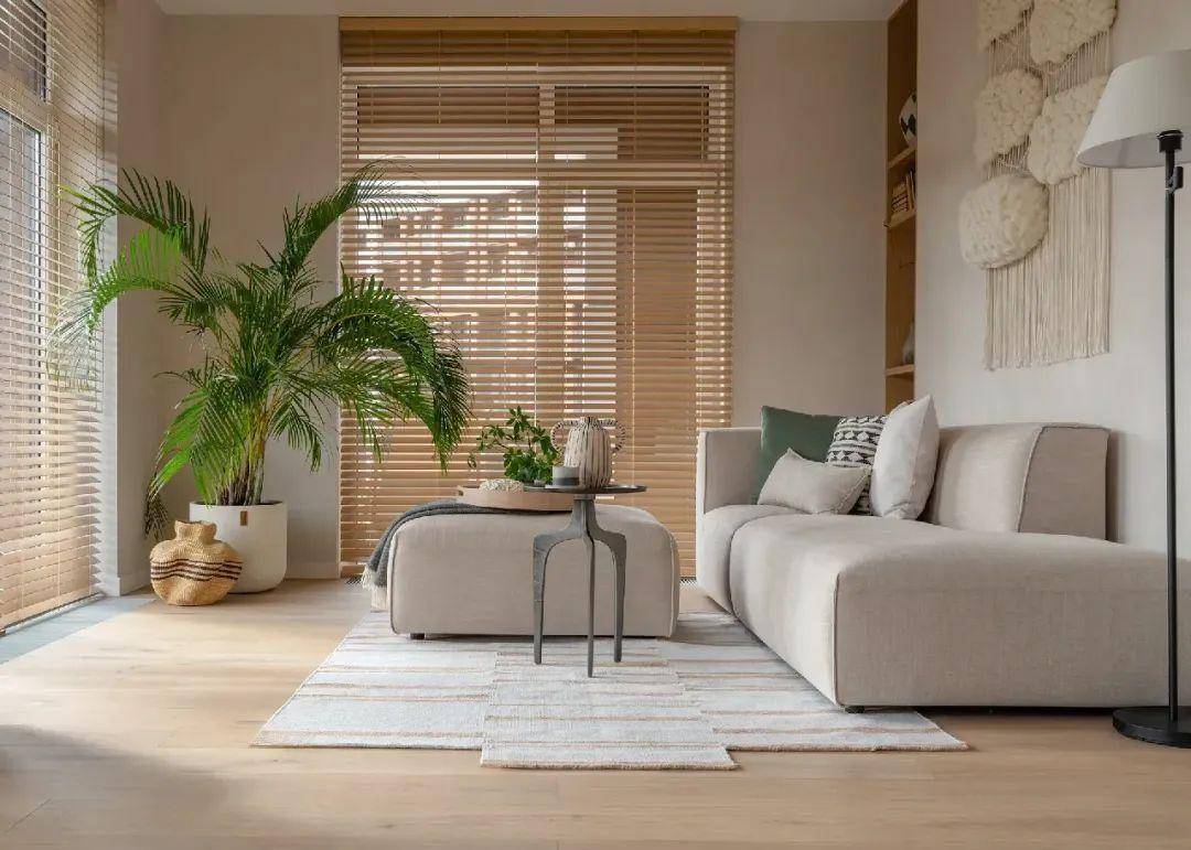 图一.jpg 图一.jpg